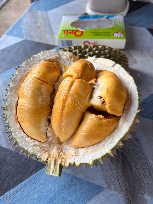 貓山王是哪個國家