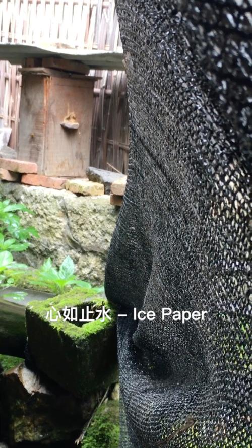 止水盾哪裡買