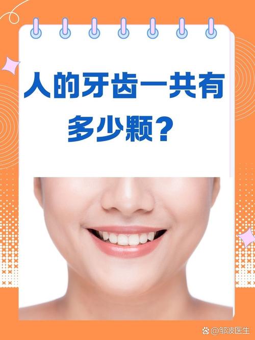 牙齒有幾顆