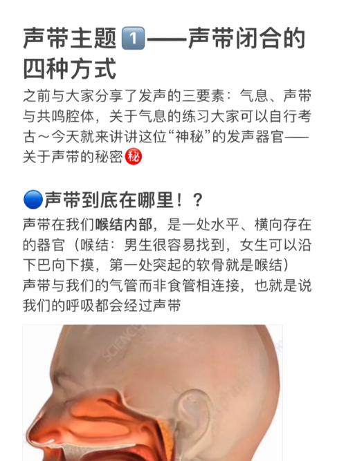 聲帶如何發聲