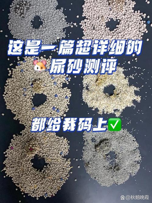倉鼠的尿是什麼顏色