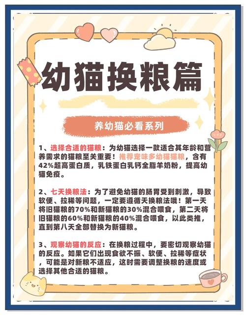 貓咪多久換飼料