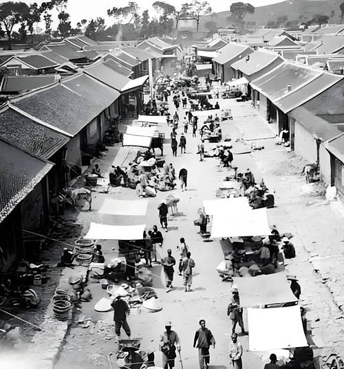 1960至1970年代什麼發展迅速