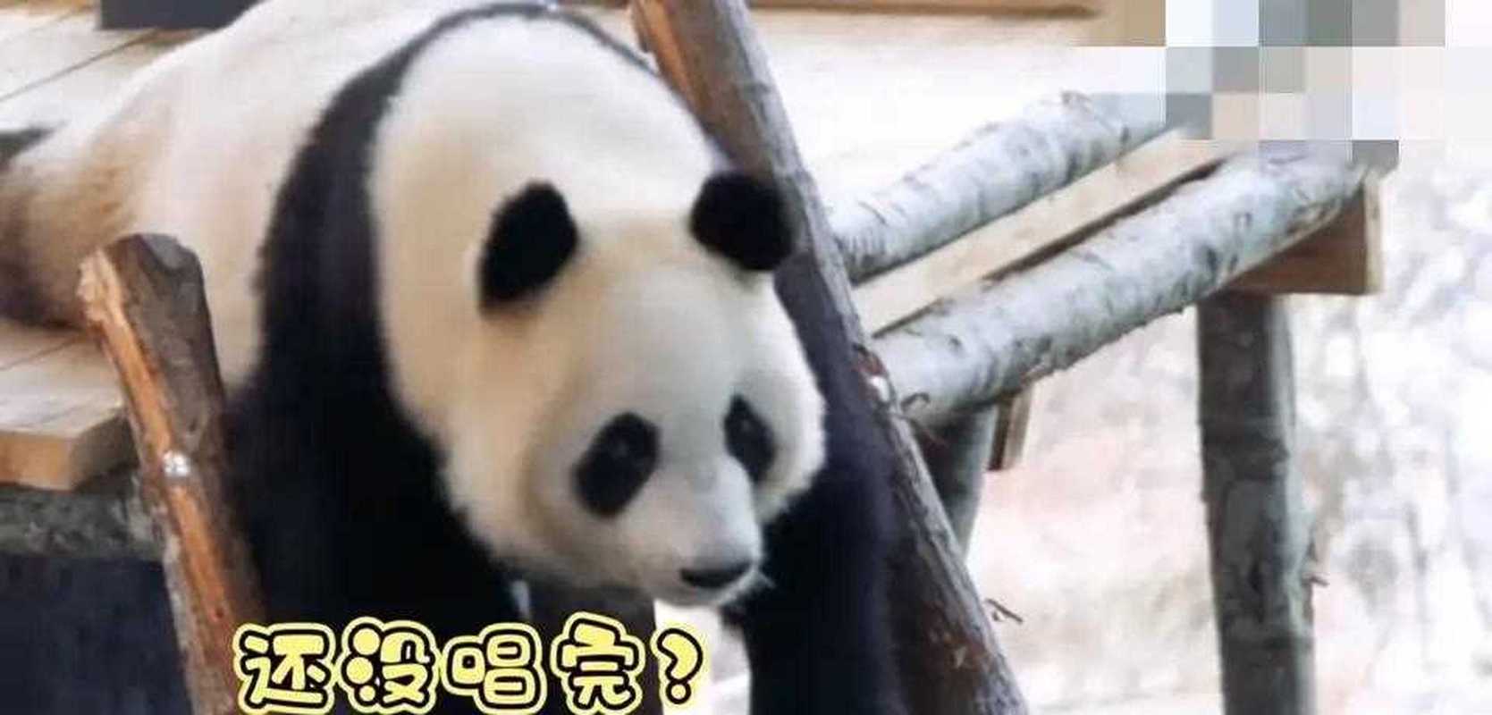 沒送神可以嗎