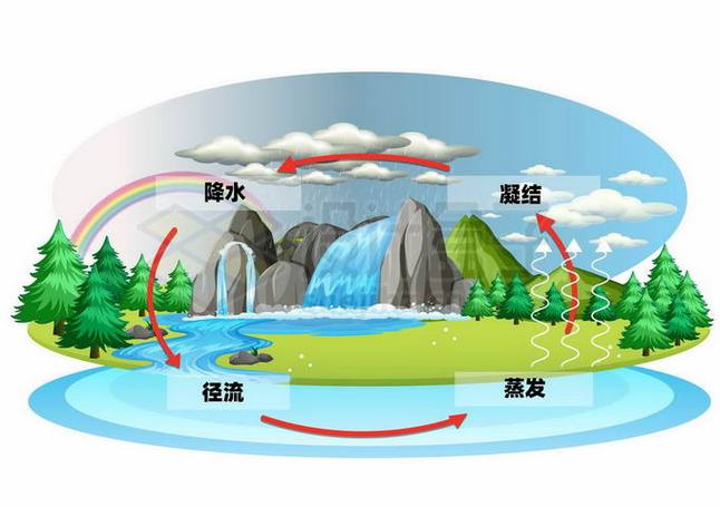 水循環有哪些