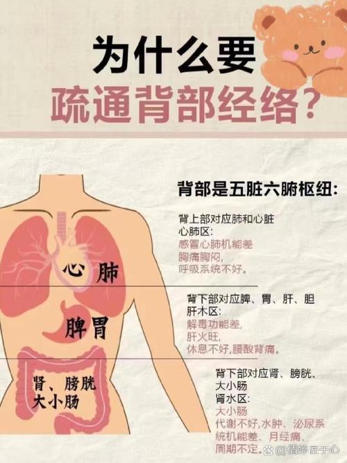經絡調理是什麼