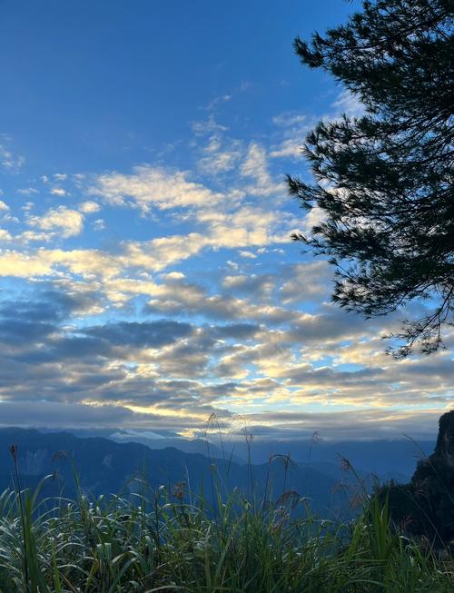 怎麼去阿里山看日出