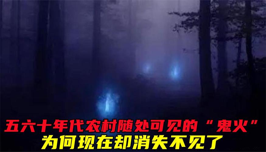 中國鬼火是什麼