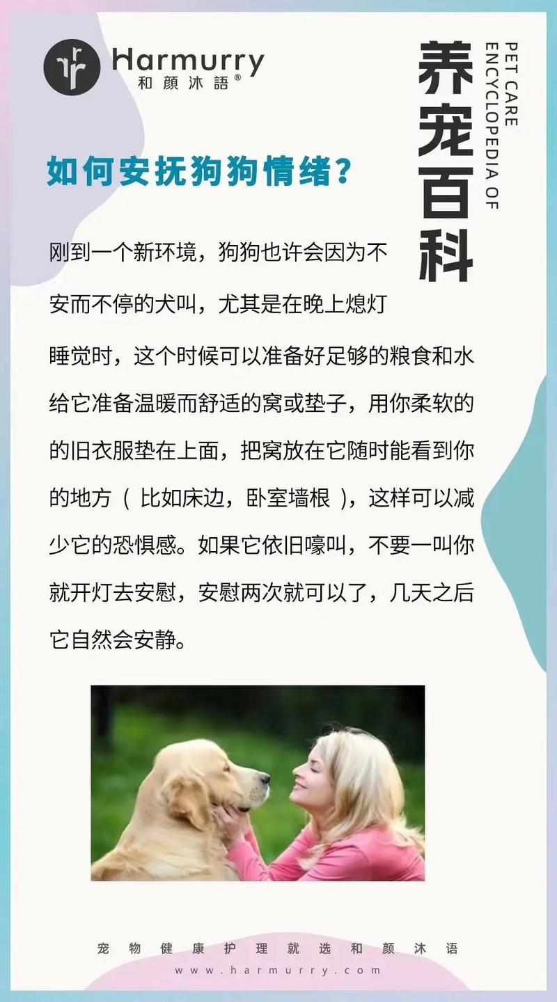 如何安撫狗狗