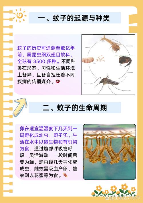 為什麼蚊子耳朵邊嗡嗡叫