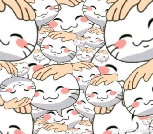 印尼為什麼不能摸頭
