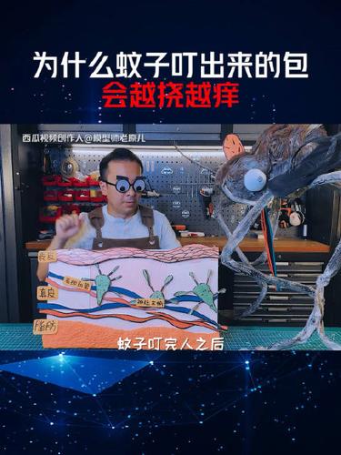 召可以造什麼