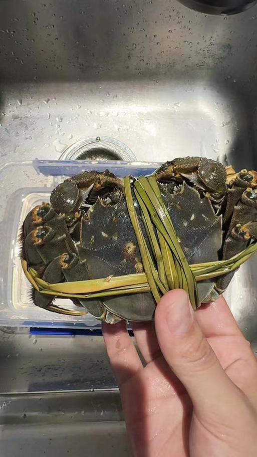 大閘蟹買回來怎麼處理