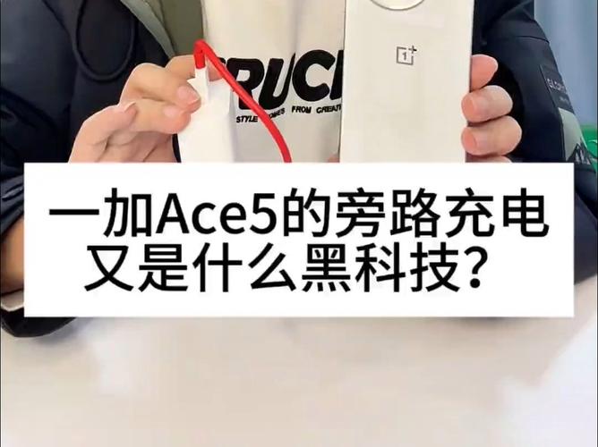 旁路充電是什麼