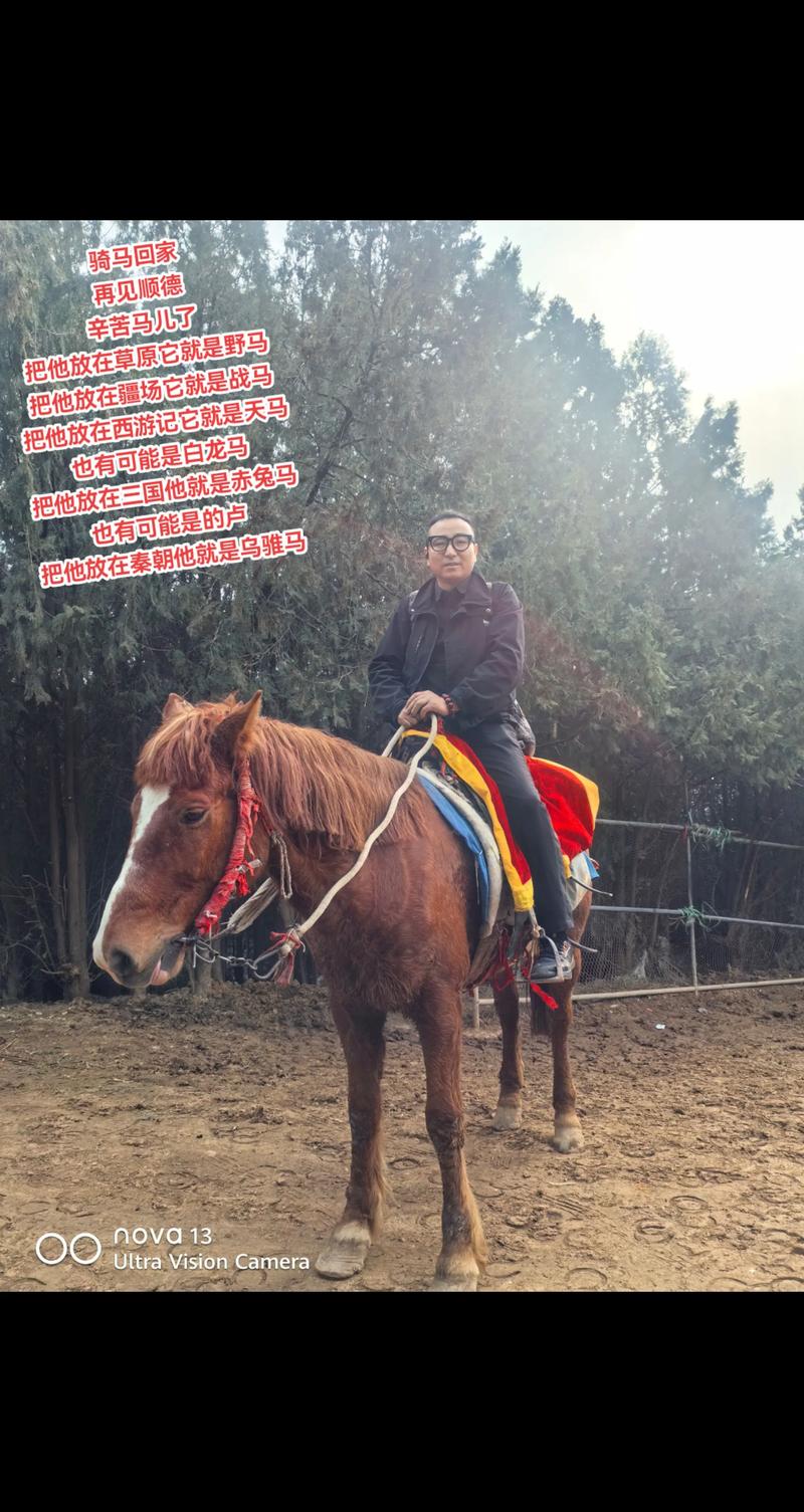 馬要如何放