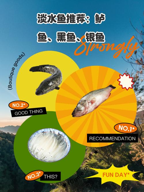 鱸魚精要去哪買