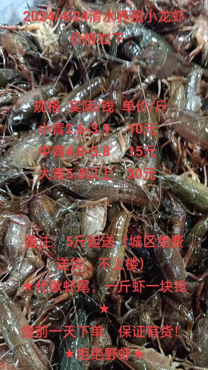 龍蝦一斤多少錢