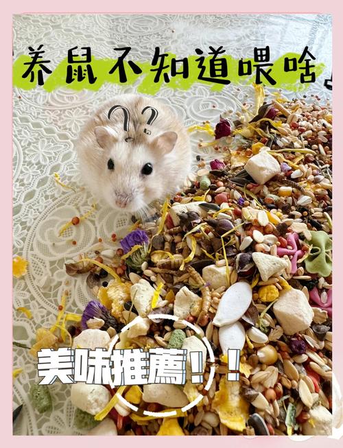 黃金鼠不能吃什麼 - 詳解禁忌食物、潛在危害與飲食安全指南 12 黃金鼠不能吃什麼