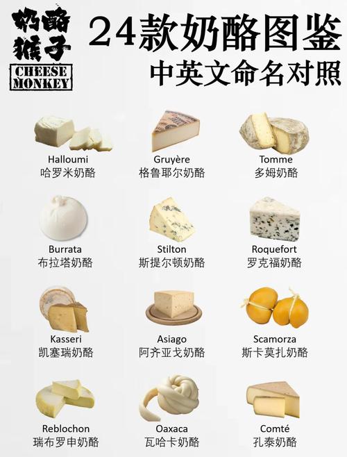乳酪和芝士有什麼不同