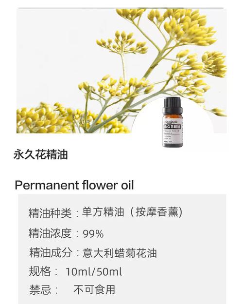 永生花可以滴精油嗎