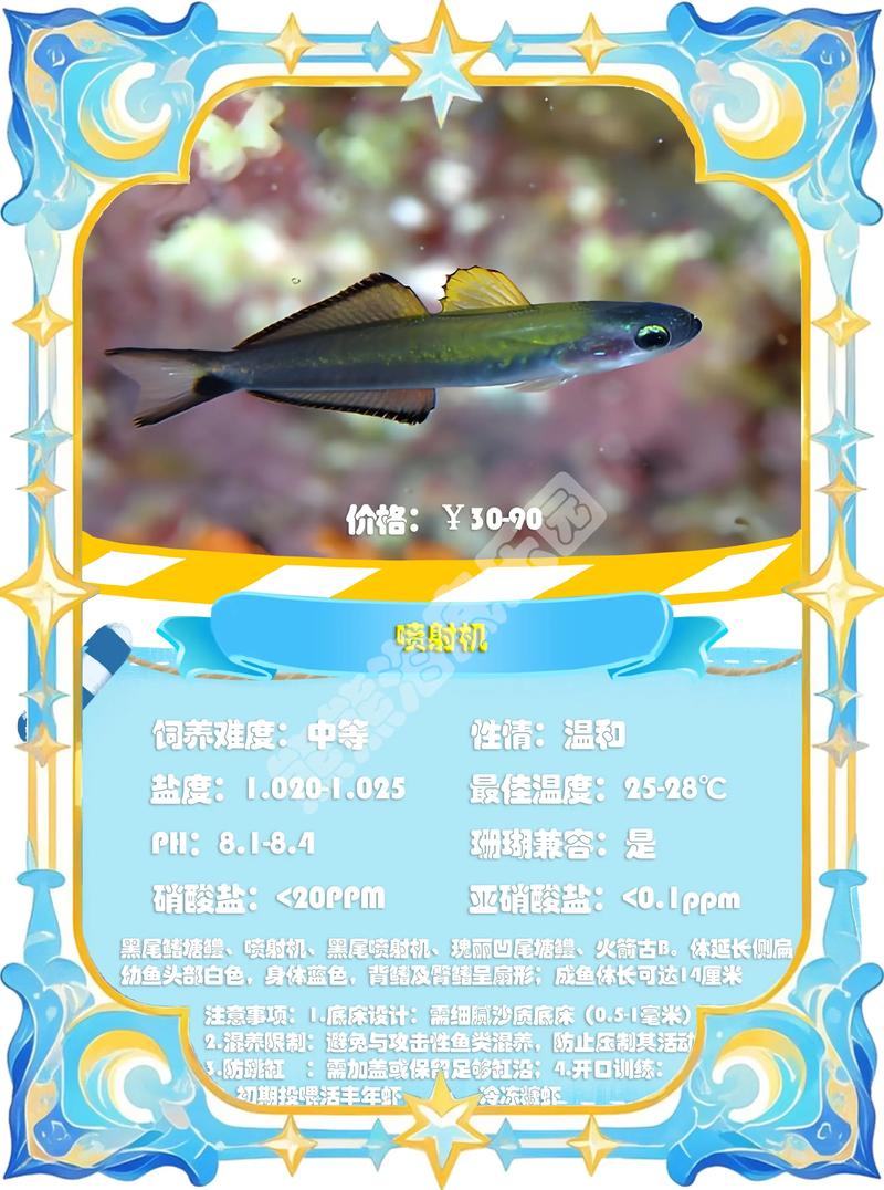 什麼是飛虎魚