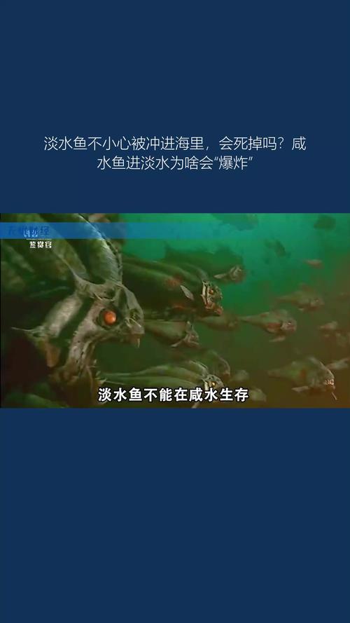 魚會被嚇死嗎