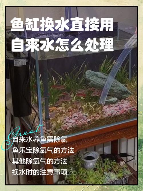 魚缸如何換水