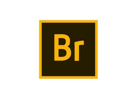 brp是什麼