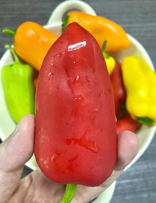 甜椒會脹氣嗎