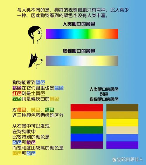 為什麼狗是色盲
