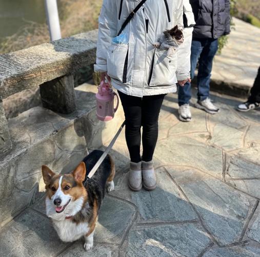 遠雄可以帶寵物嗎