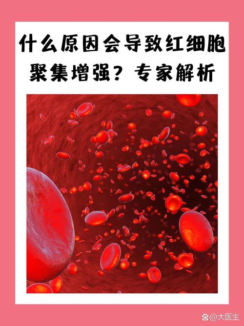 為什麼紅血球過高