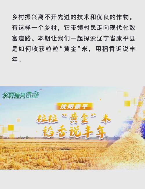 稻米一年收成幾次