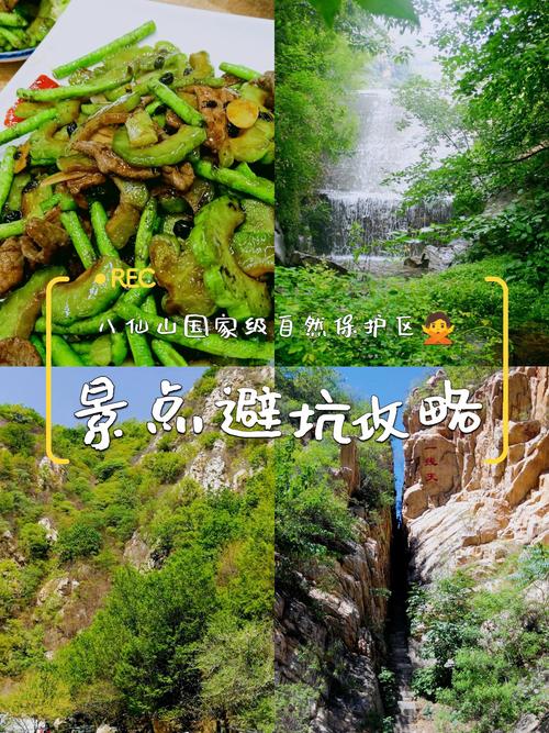 八仙山可以露營嗎