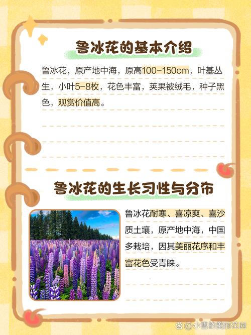 魯冰花為什麼叫魯冰花