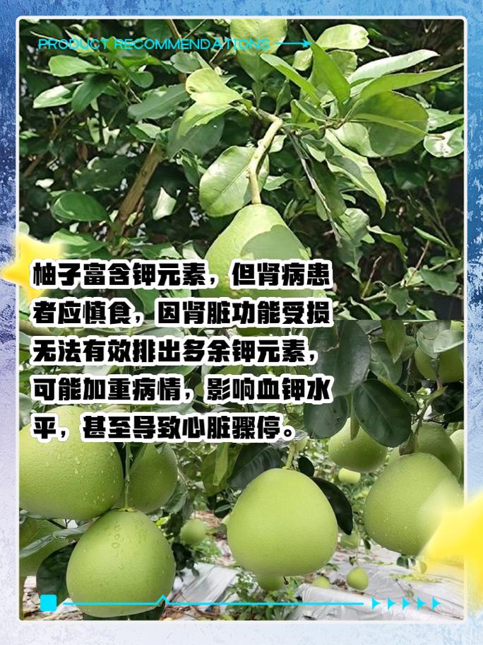 柚子是冷的嗎