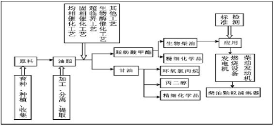 生質柴油是如何生產的