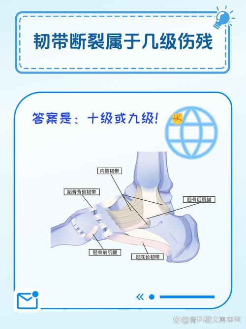 韌帶斷裂吃什麼