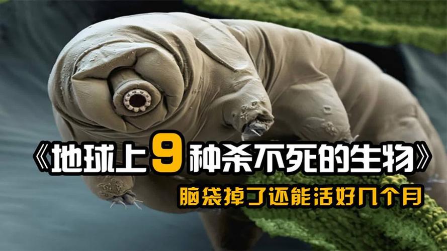 國中生物很難嗎