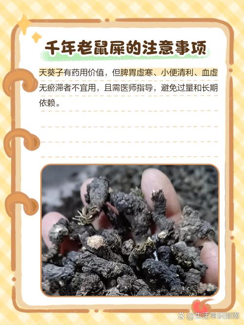 老鼠屎長怎樣