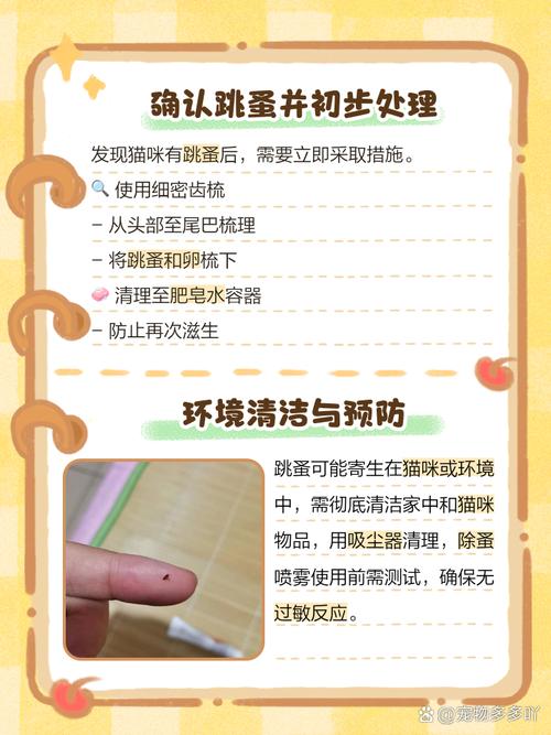 貓身上有跳蚤如何處理