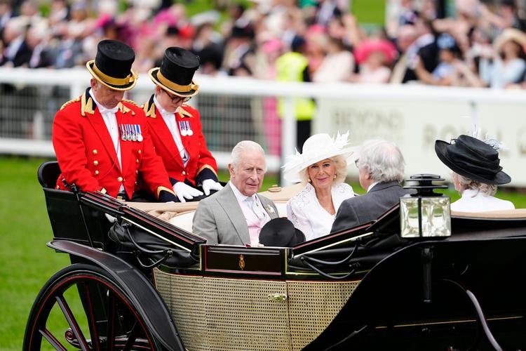 危樹倒塌致生意外誰負責?法律責任、風險預防與賠償實務全解析 3 危樹倒塌致生意外誰負責