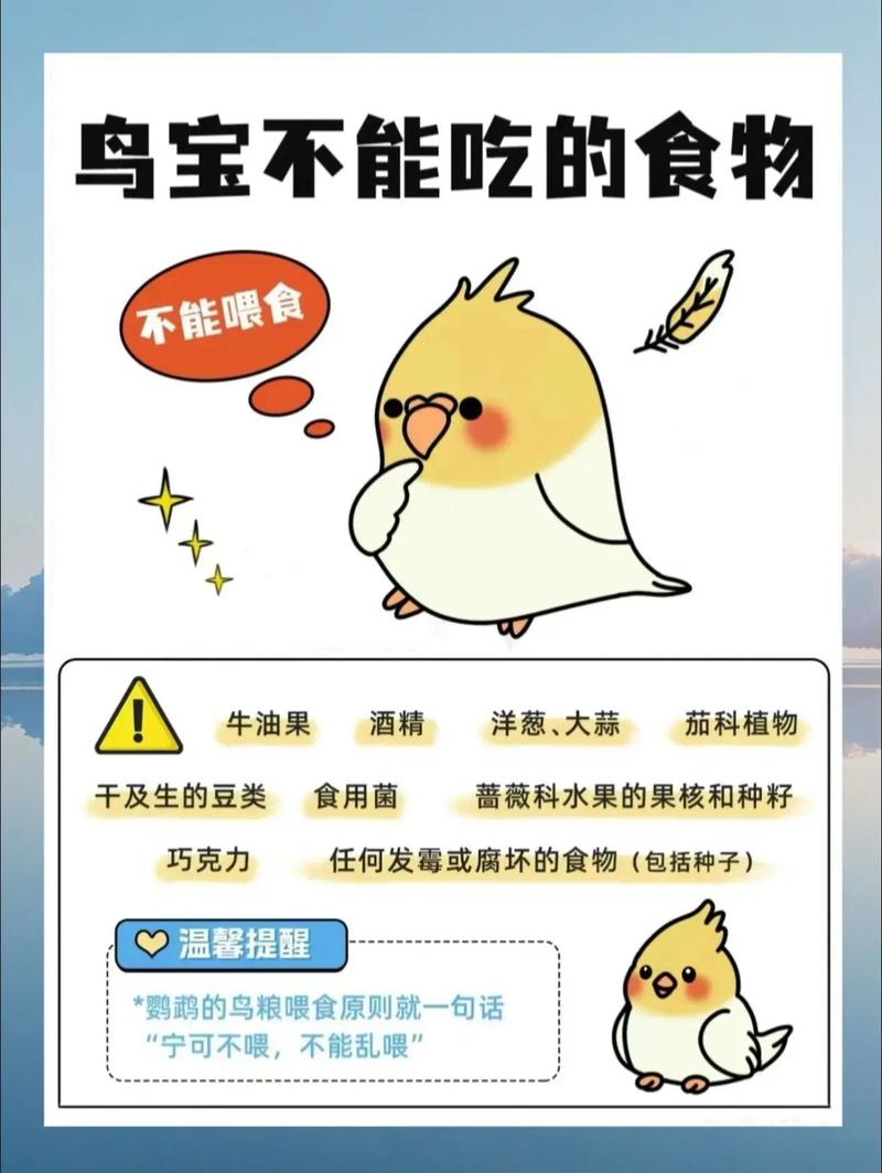 鳥吃什麼會死