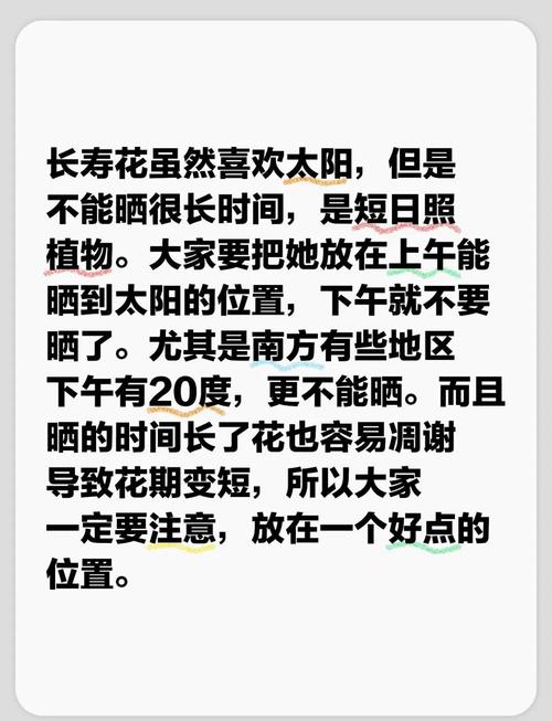 長壽花可以曬太陽嗎