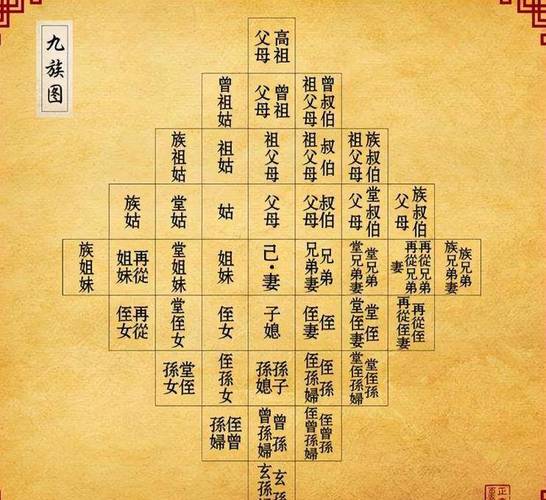 怎麼查自己家的族譜