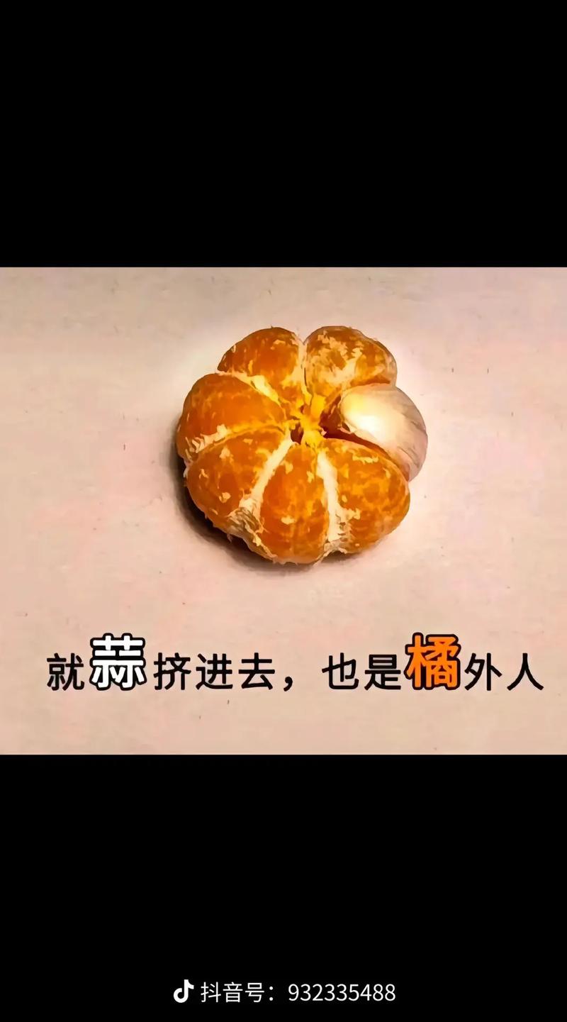 裡外不是人