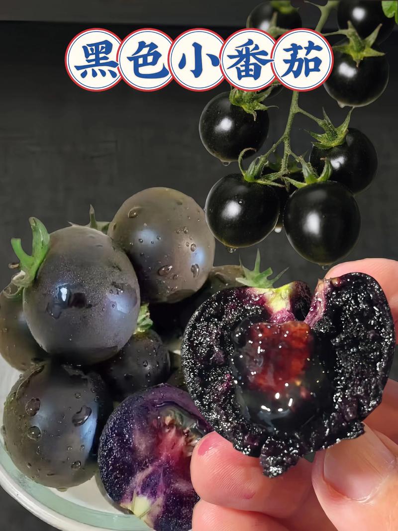 小番茄有黑點可以吃嗎