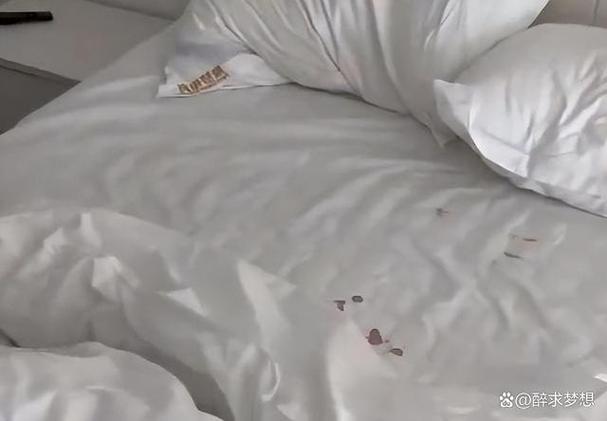 一片狼藉是什麼意思