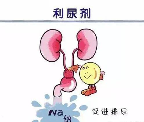 什麼最利尿