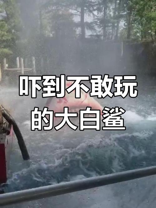 環球大白鯊會濕嗎